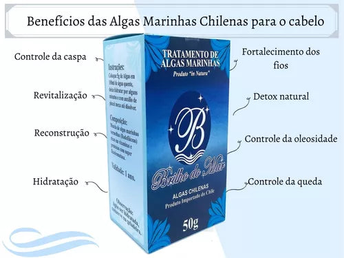 Benefícios das Algas Marinhas Chilenas para o cabelo